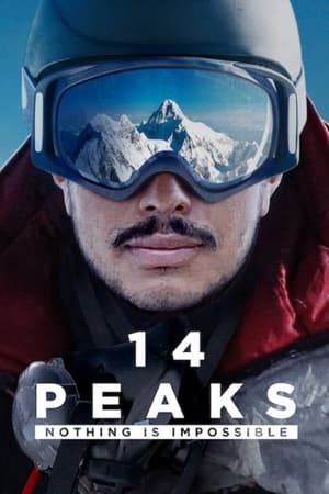 14 Peaks: Nothing Is Impossible (2021) Hindi Dual Audio [920MB]