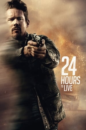 24 Hours to Live (2017) Hindi Dual Audio 350MB