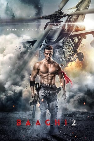 Baaghi 2 2018 Movie [1.4GB]