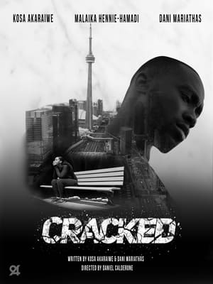 Cracked (2022) Hindi Dual Audio –