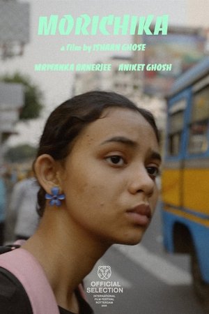 Mirage (2025) Hindi (MULTI AUDIO) – – 1080p