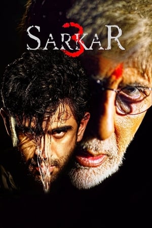 Sarkar 3 (2017) Full Movie (Hindi) [700MB] Download