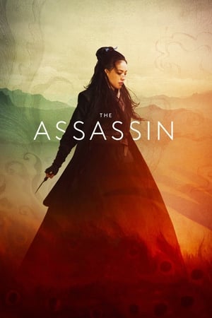 The Assassin 2015 Hindi Dual Audio 300MB