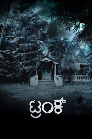 Trunk (2018) (Hindi - Kannada) Dual Audio [1.4GB]